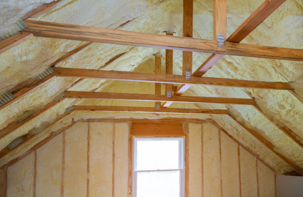 Professional Insulation Contractor in Starkville, MS