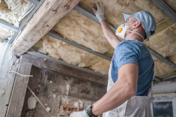 Types of Insulation We Offer in Starkville, MS