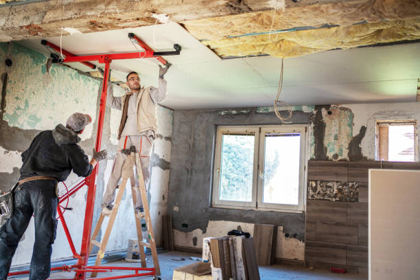 Best Eco-Friendly Insulation in Starkville, MS