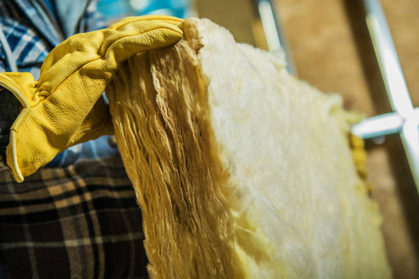 Best Residential Insulation in Starkville, MS