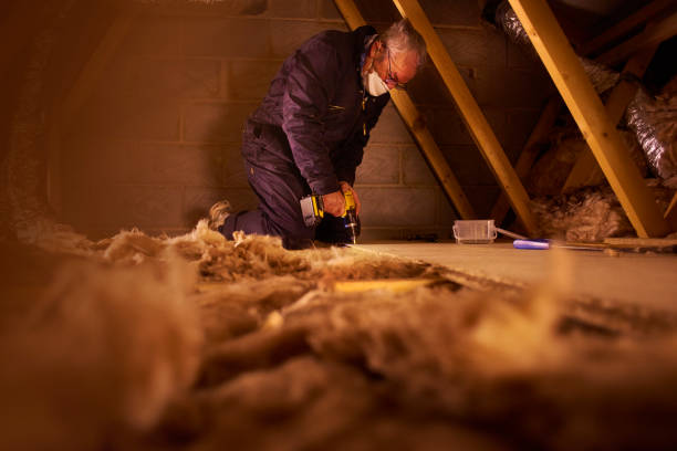 Best Commercial Insulation in Starkville, MS